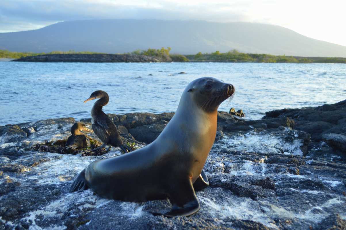 Top Budget-Friendly Islands for Your Next Adventure